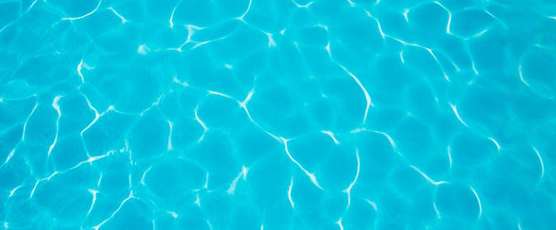 proliferação de algas em rios, lagos e piscinas