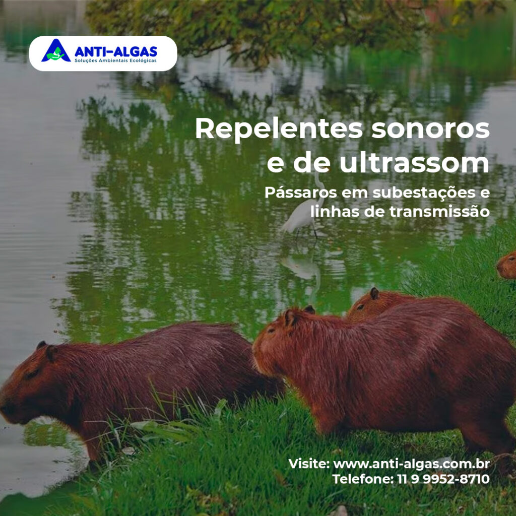 Proteja suas subestações e linhas de transmissão de forma eficaz e sustentável com nossos repelentes sonoros e de ultrassom!
