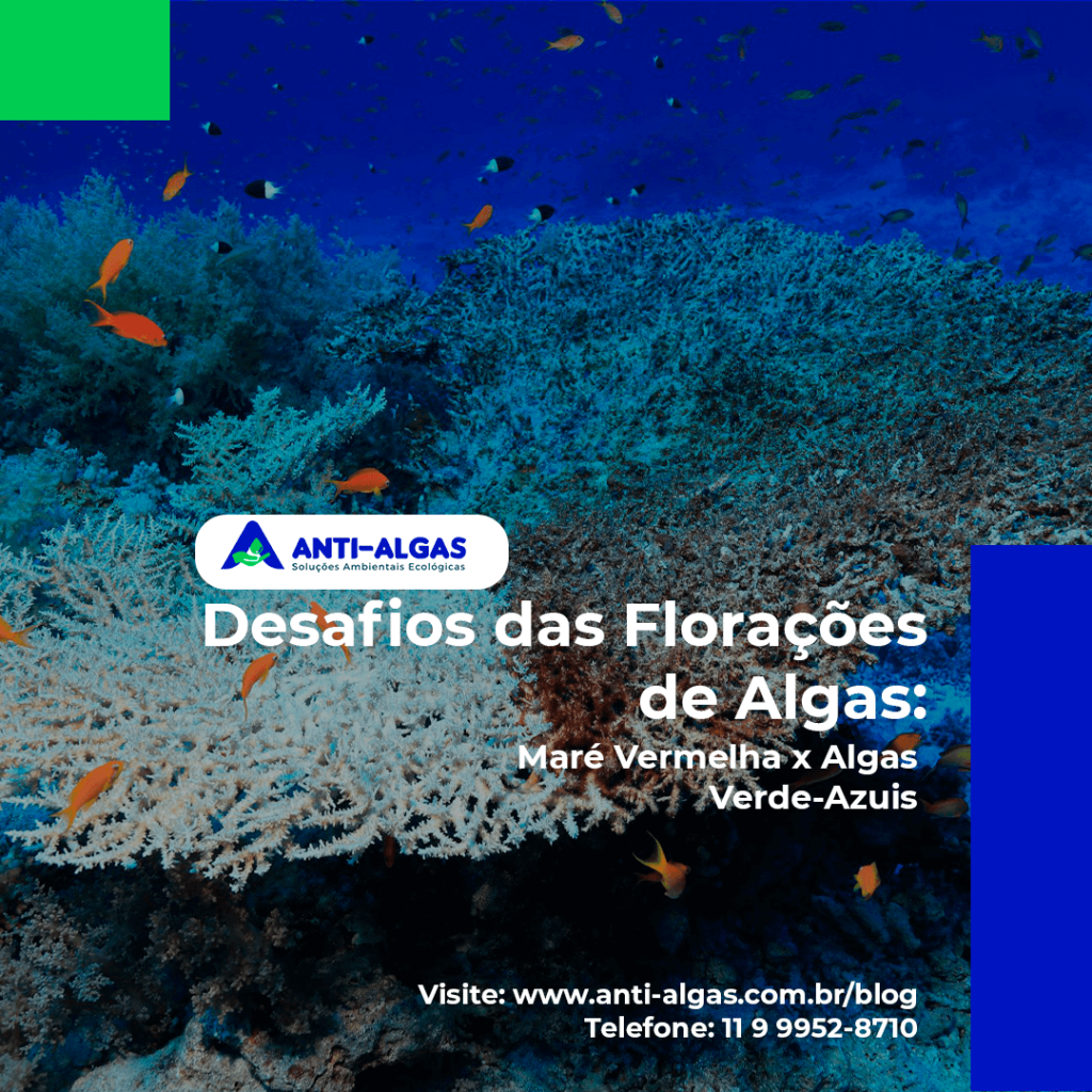 Desafios das Florações de Algas: Maré Vermelha x Algas Verde-Azuis