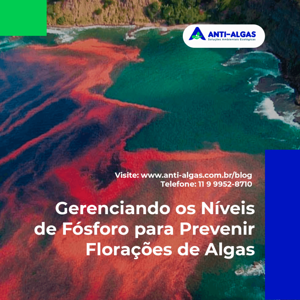 Gerenciando os Níveis de Fósforo para Prevenir Florações de Algas