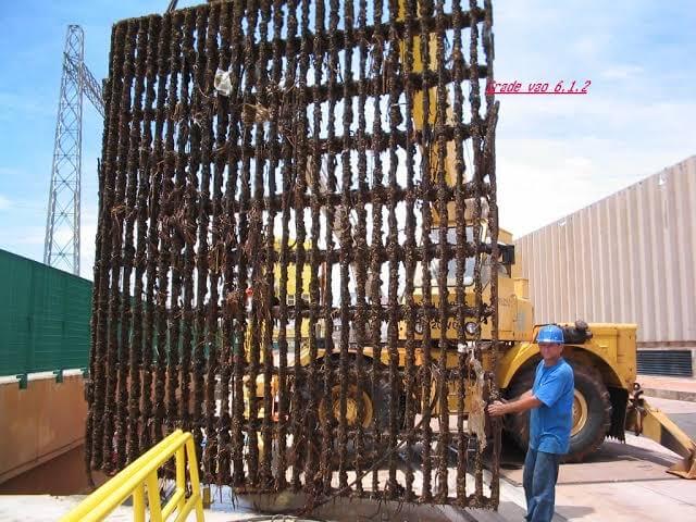 Estrutura afetada por mexilhão-dourado